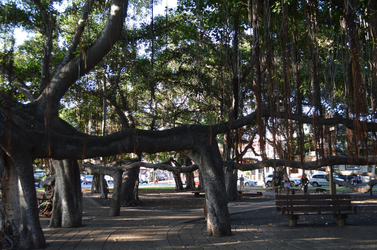 The Lahaina Beach House Hostel Exterior foto